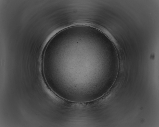 X0000091460955200708301828