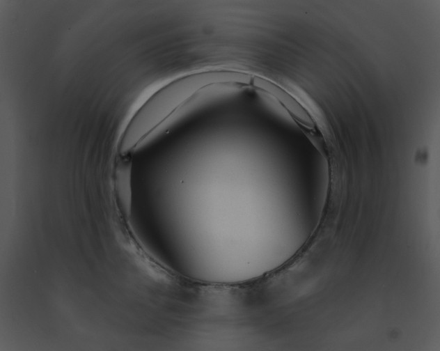 X0000091460956200708301828