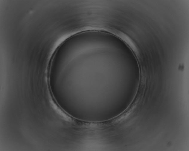 X0000091460958200708301828