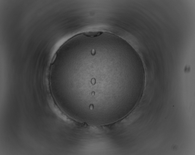 X0000091460960200708301828