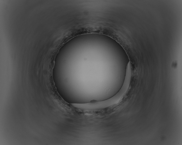 X0000091460961200708301828