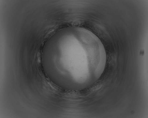 X0000091460962200708301828