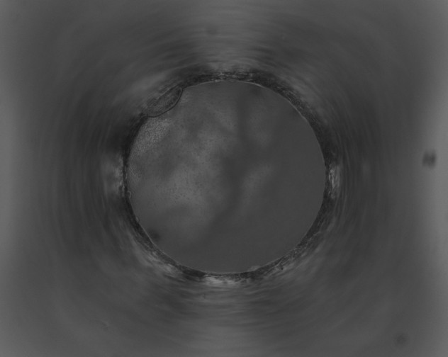 X0000091460963200708301828