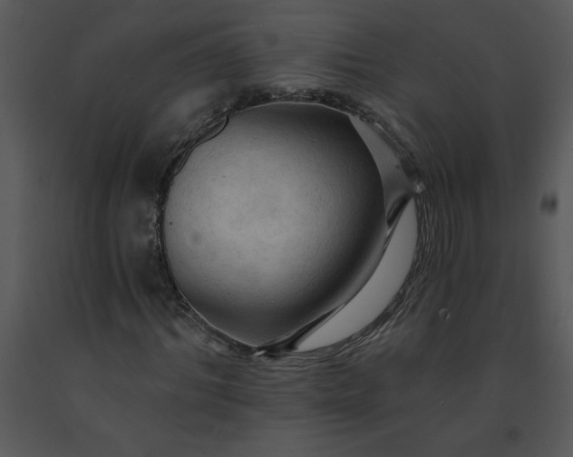 X0000091460964200708301828