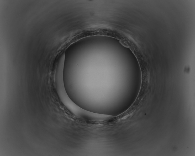 X0000091460965200708301828