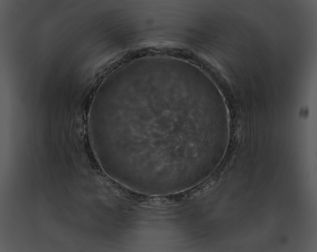 X0000091460966200708301828