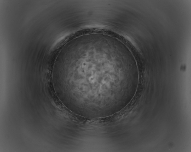 X0000091460967200708301828