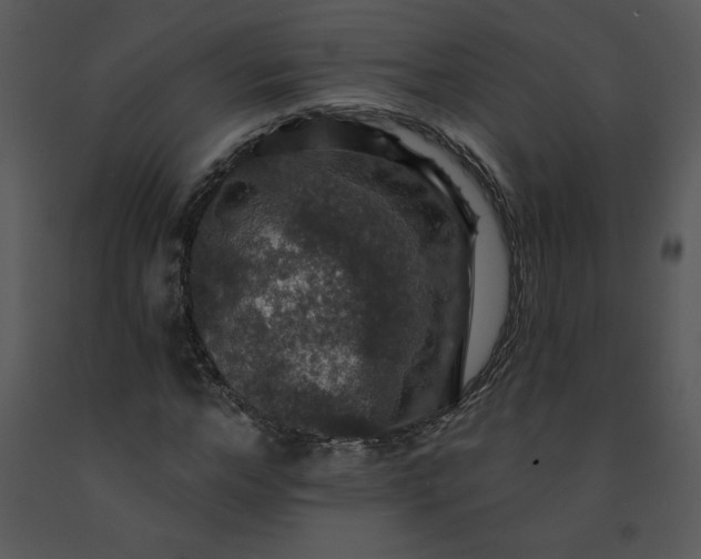 X0000091460968200708301828