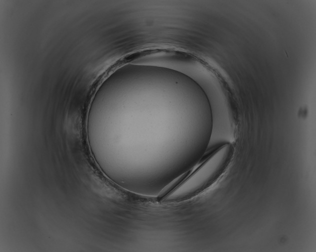 X0000091460969200708301828