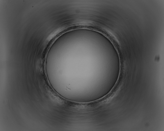 X0000091460970200708301827