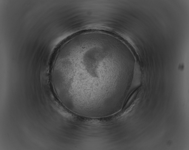 X0000091460971200708301827