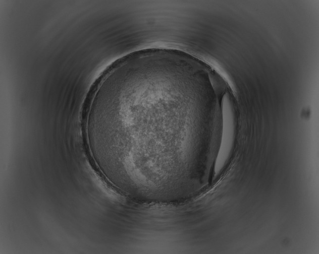 X0000091460972200708301827