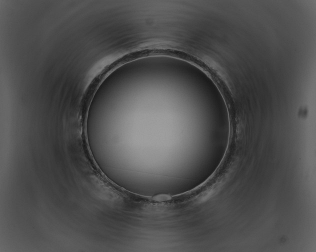 X0000091460973200708301827