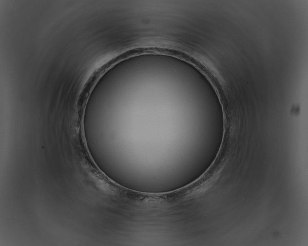 X0000091460974200708301827