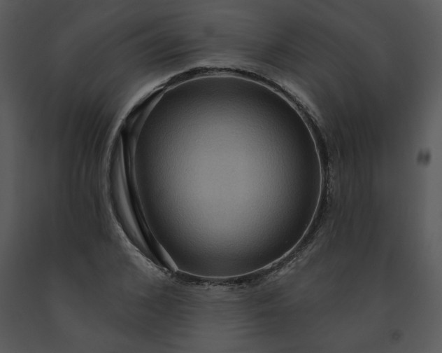 X0000091460976200708301827