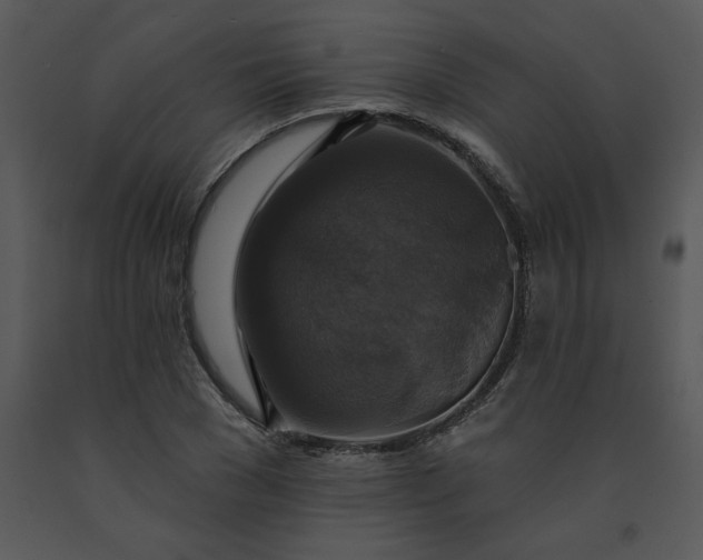 X0000091460977200708301827