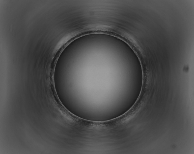 X0000091460978200708301827