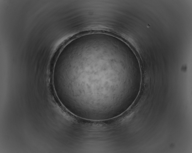 X0000091460979200708301827