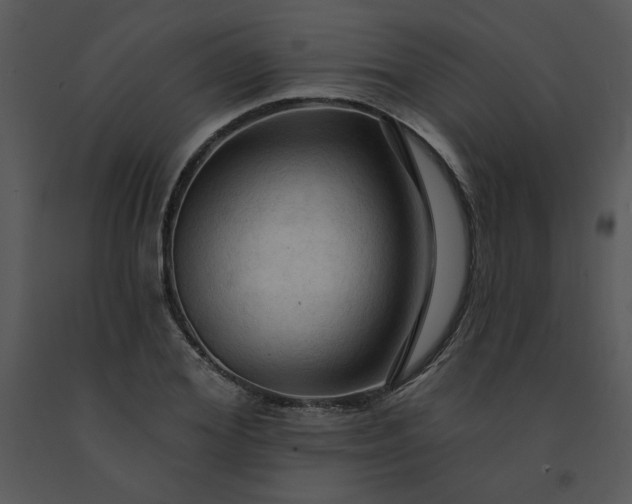 X0000091460980200708301827