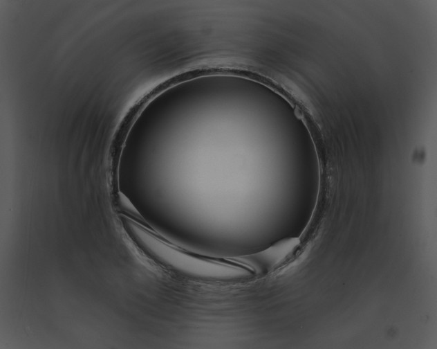 X0000091460981200708301827