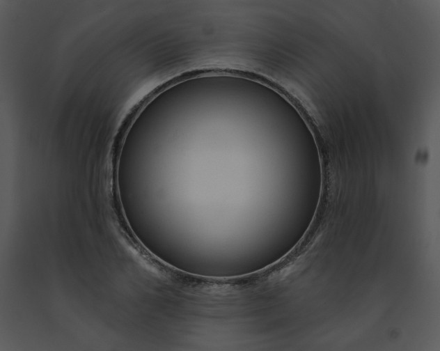 X0000091460982200708301827