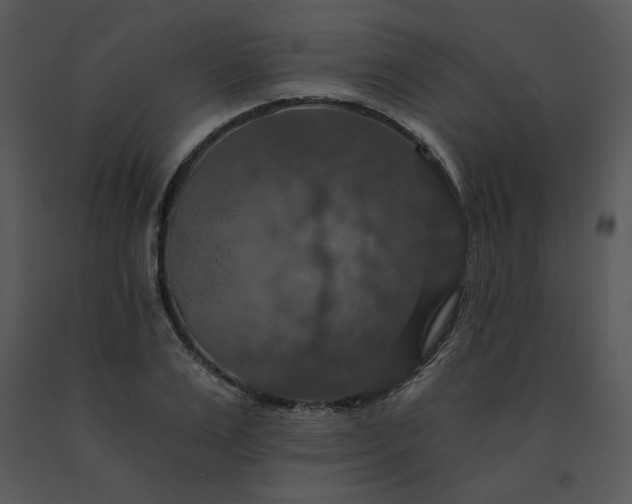 X0000091460983200708301827