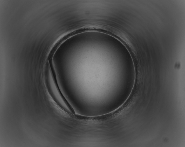 X0000091460984200708301827