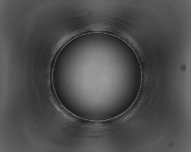 X0000091460986200708301827