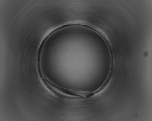 X0000091460989200708301827