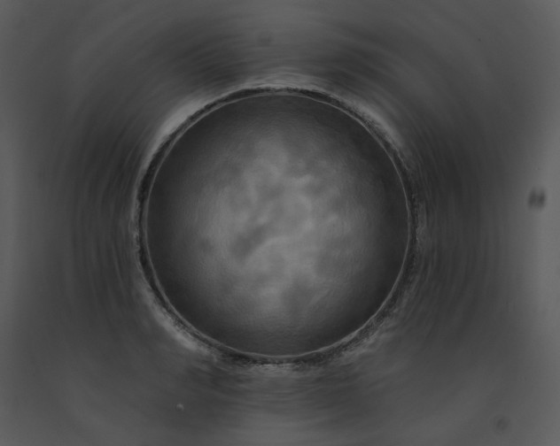 X0000091460990200708301827