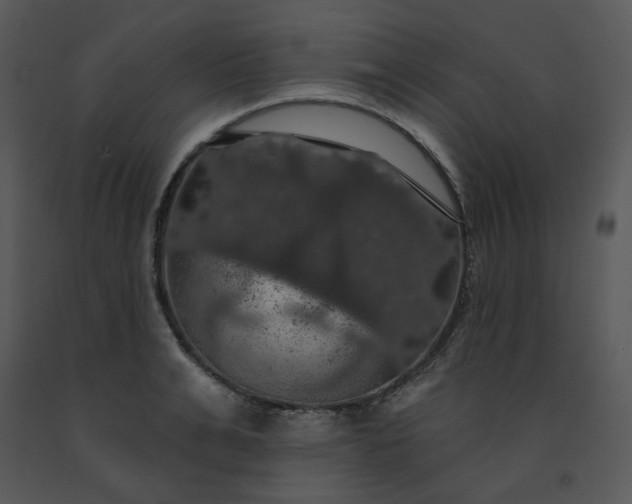 X0000091460991200708301827