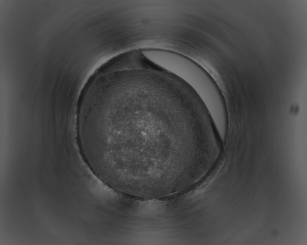 X0000091460992200708301827