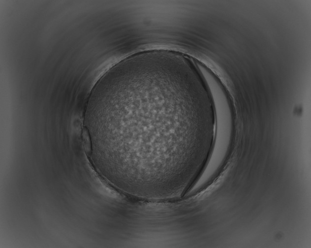 X0000091460993200708301827