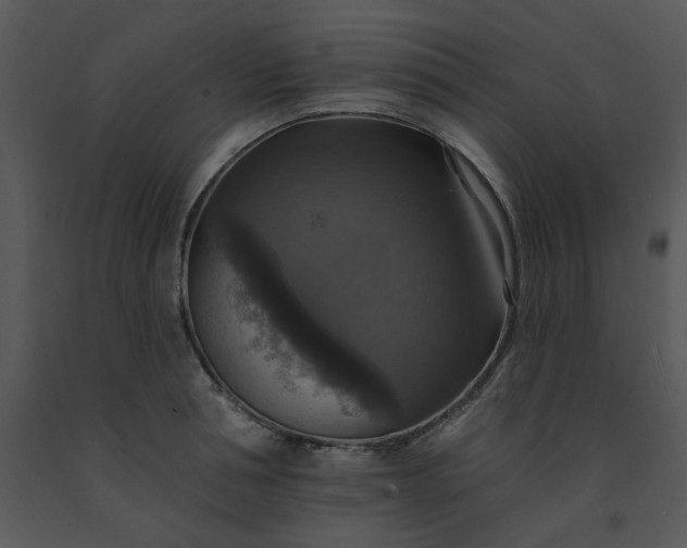 X0000091460994200708301827