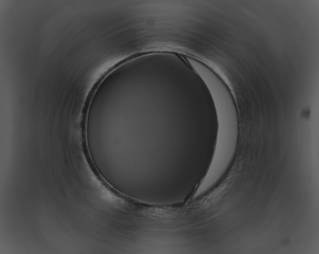 X0000091460995200708301827