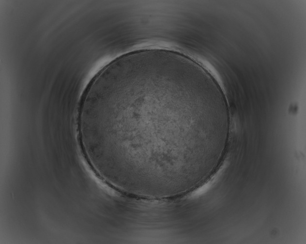 X0000091460997200708301827