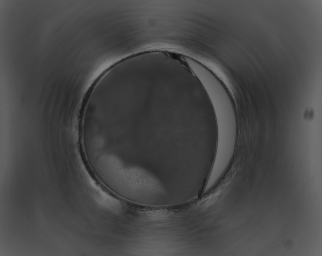 X0000091460999200708301827