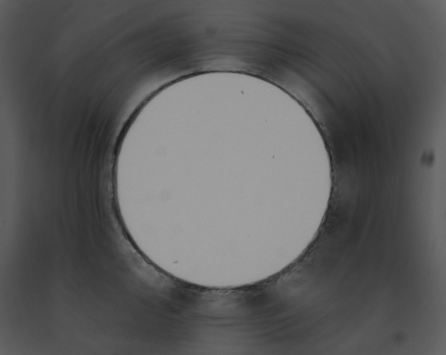 X0000091461000200708301827