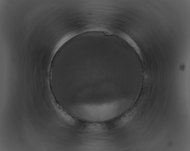 X0000091461002200708301827