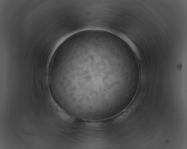 X0000091461004200708301827