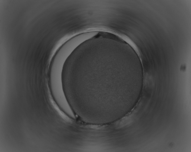 X0000091461005200708301827