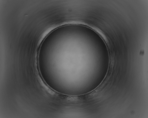 X0000091461006200708301827