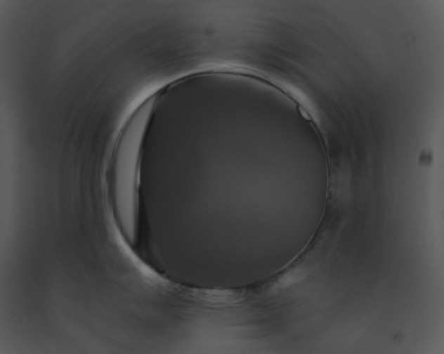 X0000091461007200708301827