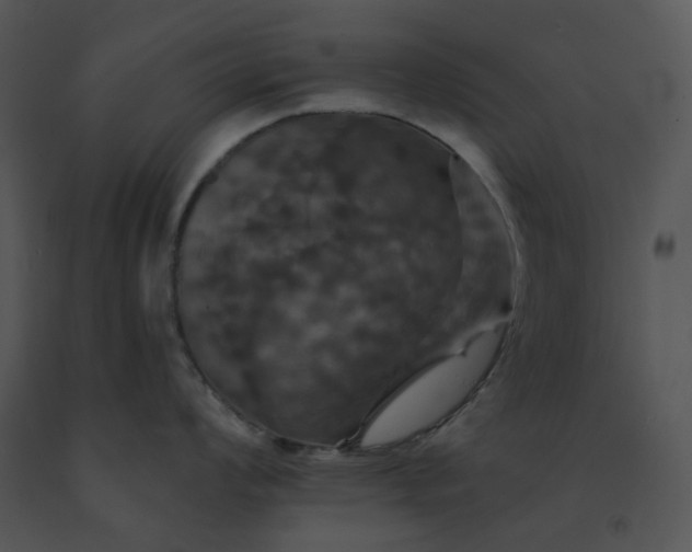 X0000091461008200708301827