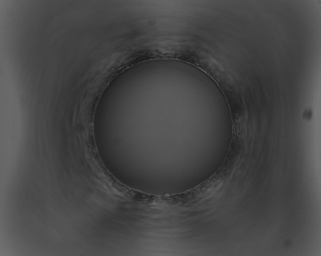 X0000091461009200708301826