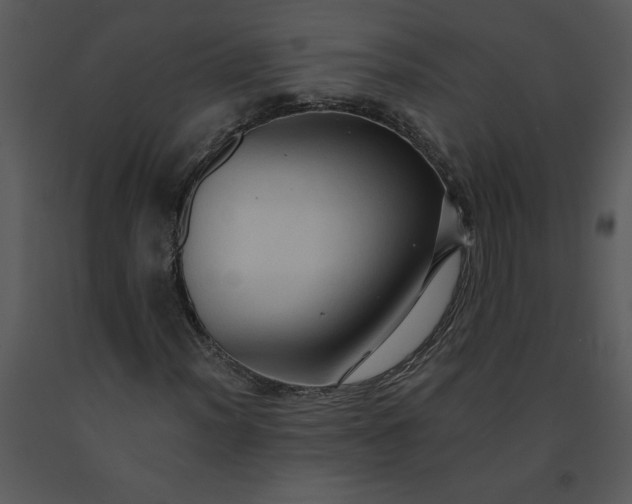 X0000091461012200708301826