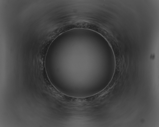 X0000091461013200708301826