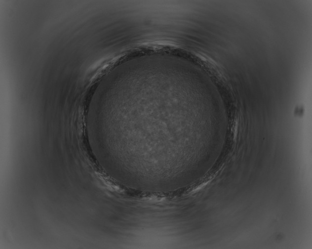 X0000091461014200708301826