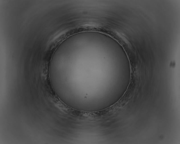 X0000091461015200708301826