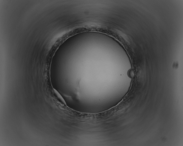 X0000091461016200708301826